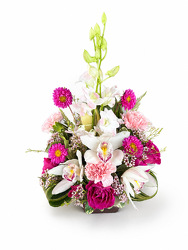 Hope in Full Bloom