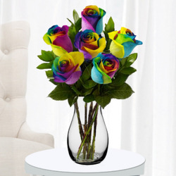 Rainbow Rose Half Dozen from Forever Flowers, flower delivery in St. Thomas, VI