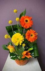 Hoops from Forever Flowers, flower delivery in St. Thomas, VI