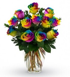 Rainbow Rose Dozen from Forever Flowers, flower delivery in St. Thomas, VI
