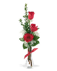 3 Red Roses from Forever Flowers, flower delivery in St. Thomas, VI