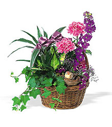 Garden Comforts from Forever Flowers, flower delivery in St. Thomas, VI