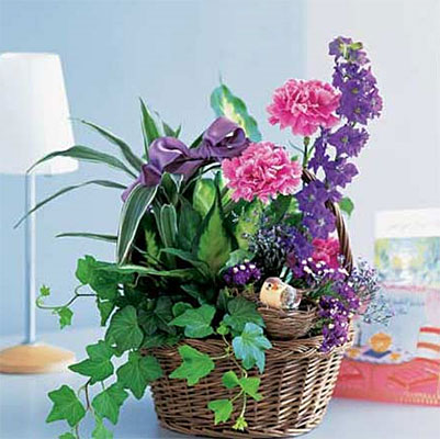 Garden Comforts from Forever Flowers, flower delivery in St. Thomas, VI