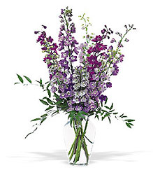 Delphinium Dreams from Forever Flowers, flower delivery in St. Thomas, VI