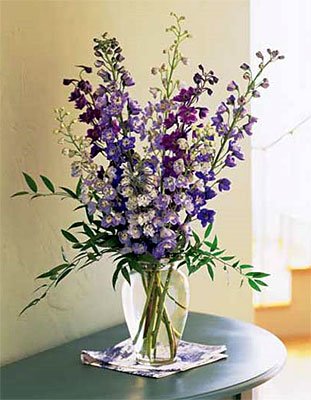 Delphinium Dreams from Forever Flowers, flower delivery in St. Thomas, VI