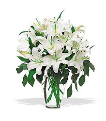 Perfect White Lilies from Forever Flowers, flower delivery in St. Thomas, VI