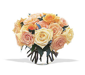 Perfect Pastel Roses from Forever Flowers, flower delivery in St. Thomas, VI
