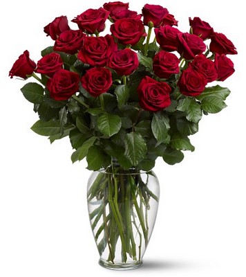 Two Dozen Red Roses from Forever Flowers, flower delivery in St. Thomas, VI