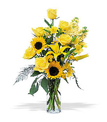 Blazing Sunshine from Forever Flowers, flower delivery in St. Thomas, VI