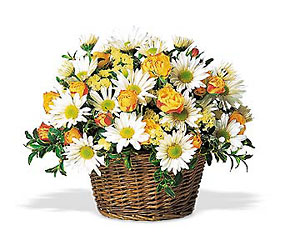 Joyful Roses and Daisies from Forever Flowers, flower delivery in St. Thomas, VI
