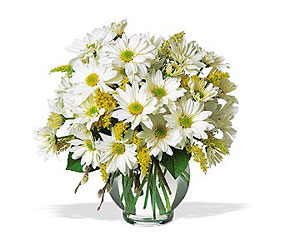 Daisy Cheer from Forever Flowers, flower delivery in St. Thomas, VI